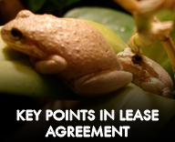Key points in Bama Reptiles Lease agreement