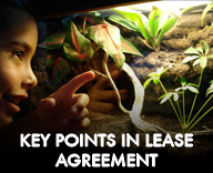 Key points in Living Vivarium lease agreement
