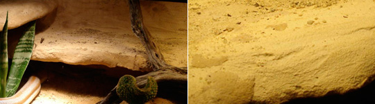 Desert Living Vivariums materials