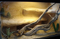 Bama Vivarium Desert Enclosure