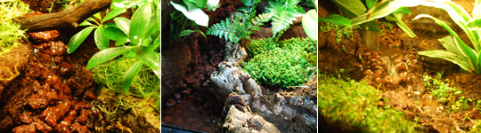 Living Vivarium Waterfalls